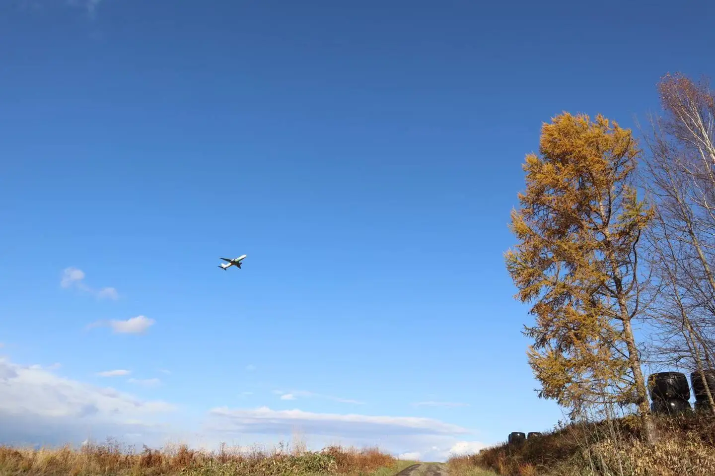 Airplane in the Sky