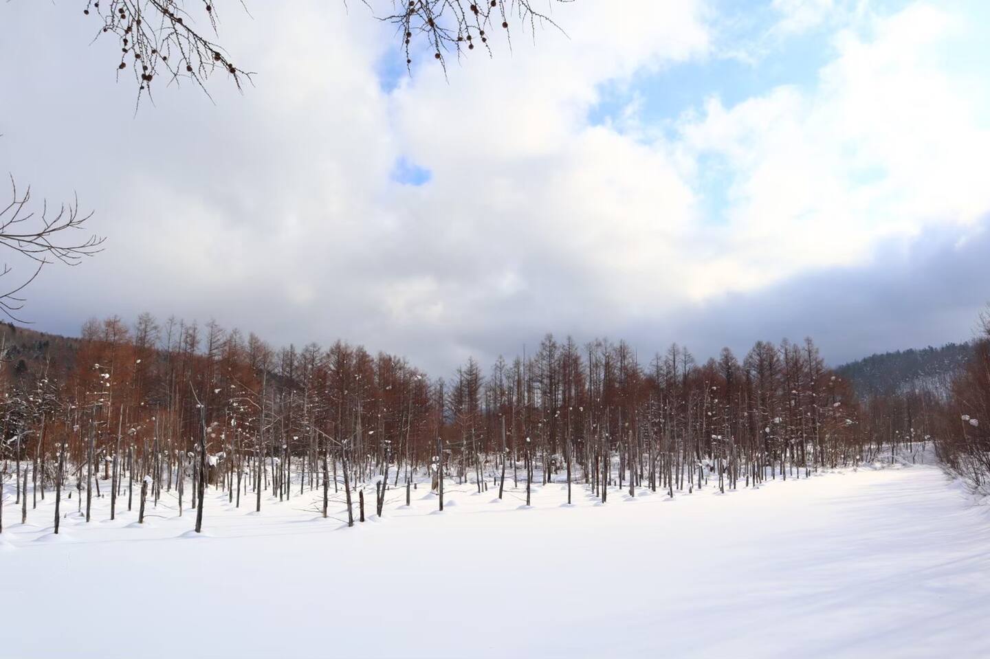 Blue Pond Winter