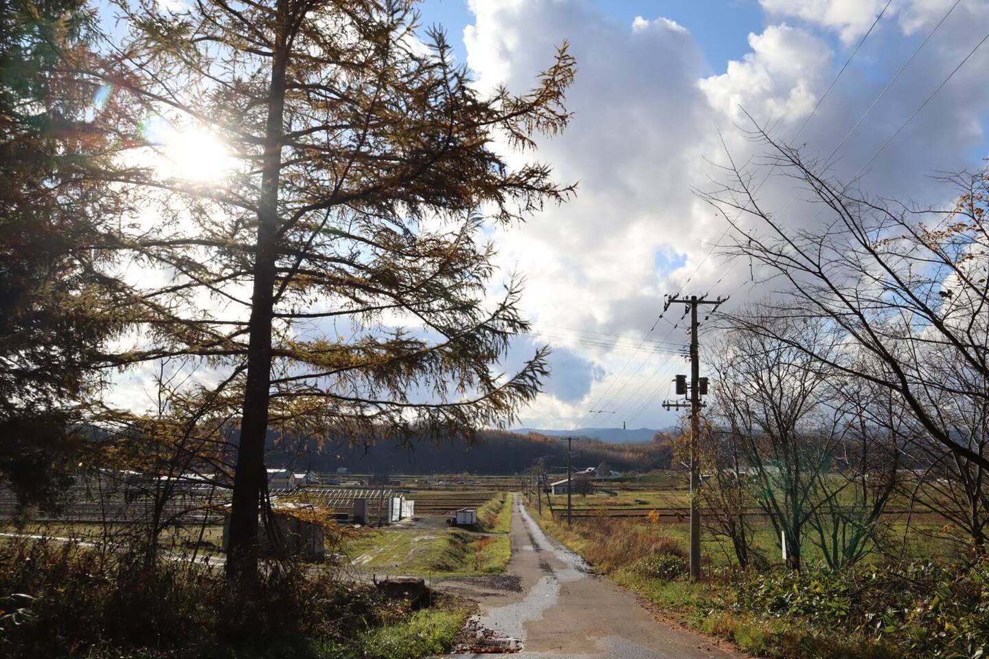 Rural Autumn