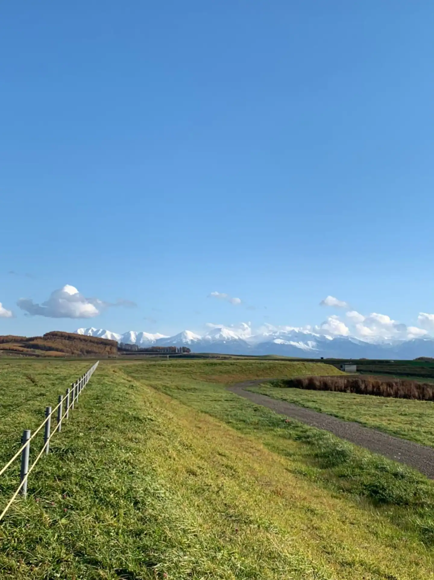 Spring Mountains