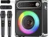 Karaoke speaker with two wireless microphones and remote