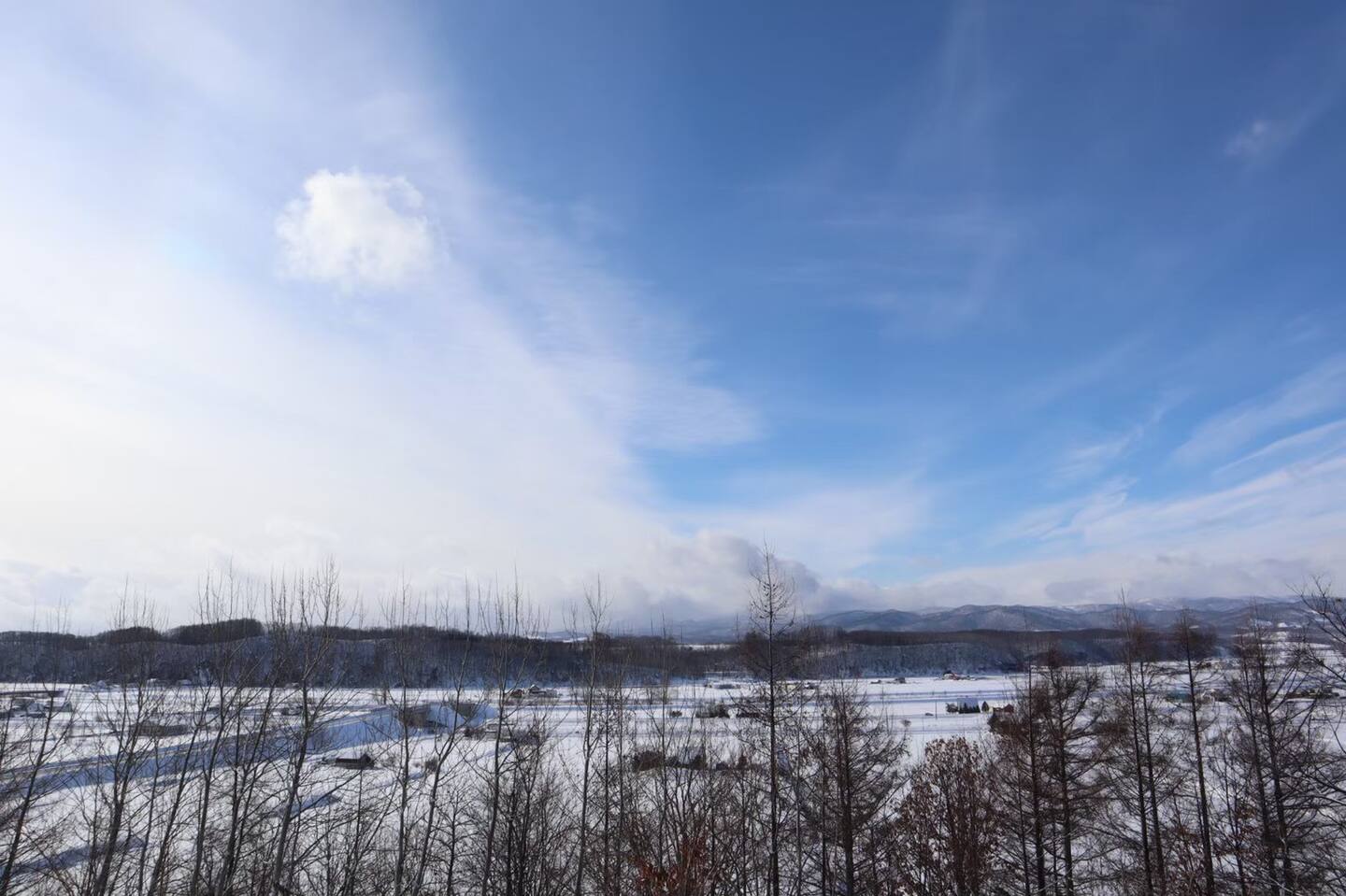 Winter Fields