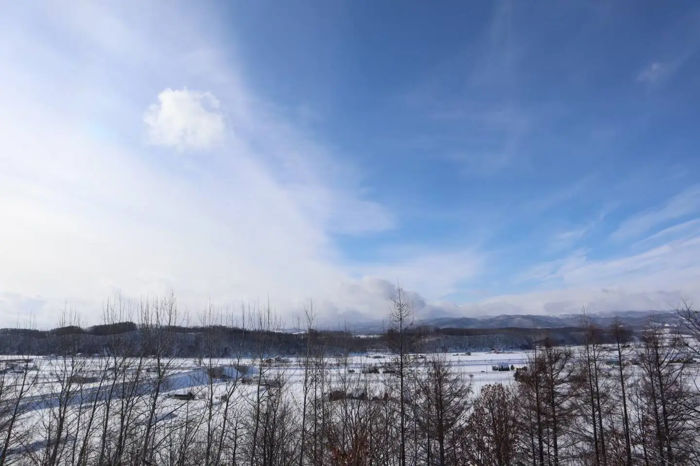 Winter Fields