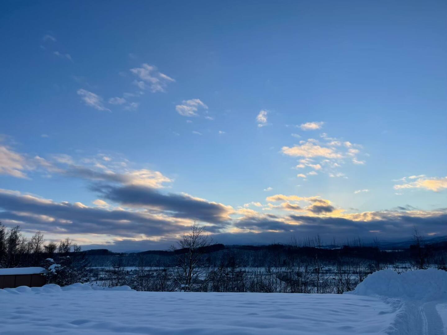 Winter Vista